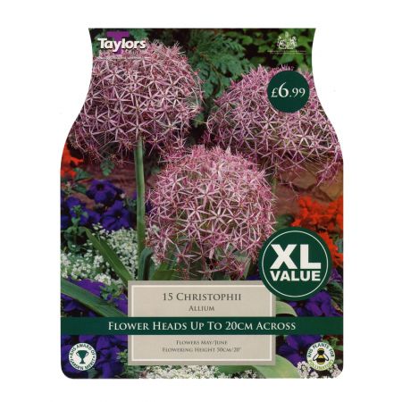 Taylors Allium Christophii Bulbs (15 per Pack)