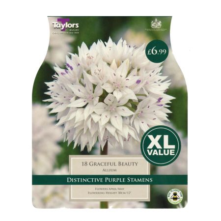 Taylors Allium Graceful Beauty Bulbs (18 per Pack)