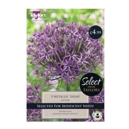 Taylors Allium Metallic Shine Bulbs (5 per Pack)