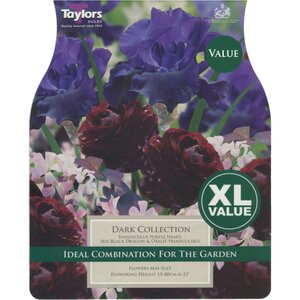 Taylors Bulbs Dark Collection (15 per Pack)