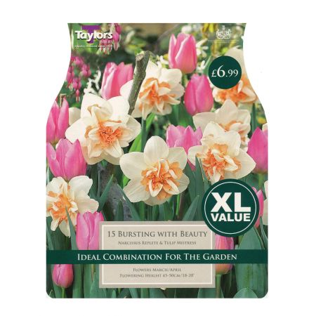 Taylors Bursting with Beauty Bulbs (15 per Pack)