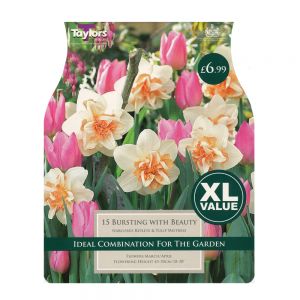 Taylors Bursting with Beauty Bulbs (15 per Pack)