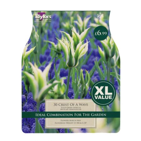 Taylors Crest of a Wave Bulbs (30 per Pack)
