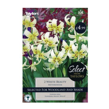 Taylors Erythronium White Beauty Bulbs (2 per Pack)