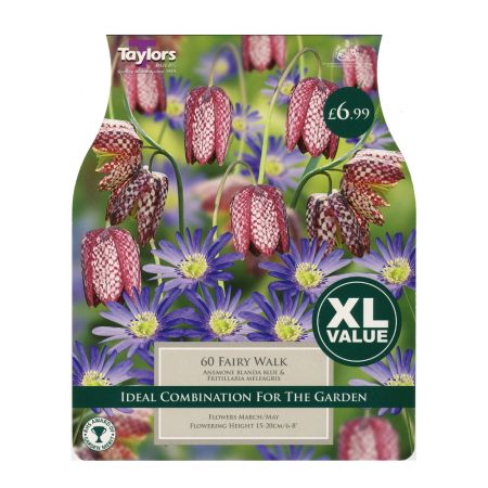 Taylors Fairy Walk Bulbs (60 per Pack)