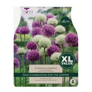 Taylors Kings & Queens Bulbs (15 per Pack)