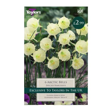 Taylors Narcissi Arctic Bells Bulbs (6 per Pack)