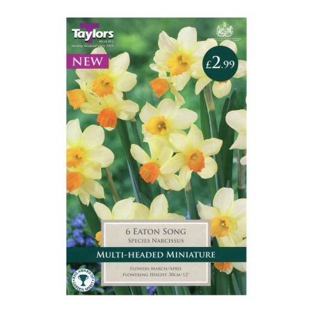 Taylors Narcissi Eaton Song Bulbs (6 per Pack)