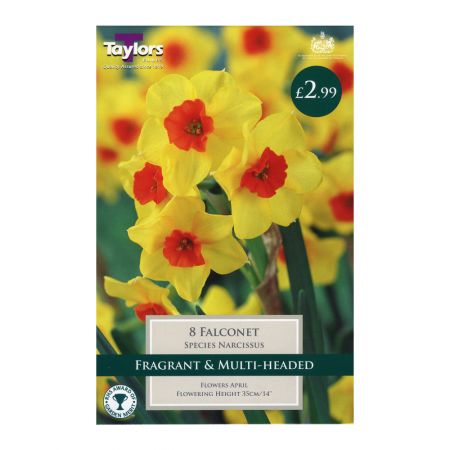 Taylors Narcissi Falconet Bulbs (8 per Pack)