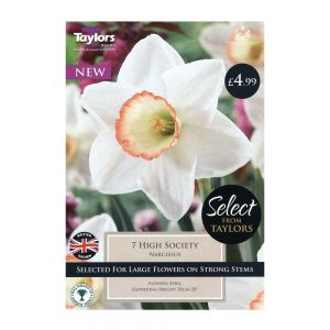 Taylors Narcissi High Society Bulbs (Pack of 7)
