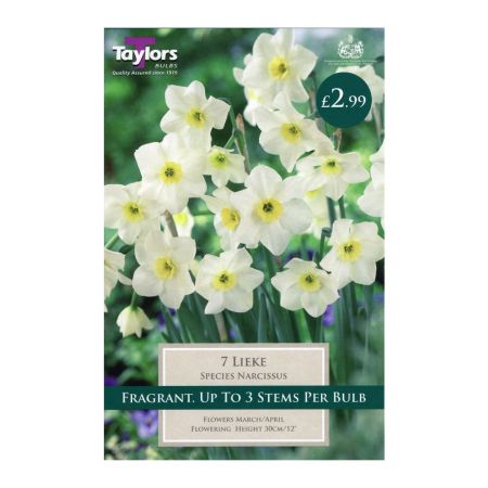 Taylors Narcissi Lieke Bulbs (7 per Pack)