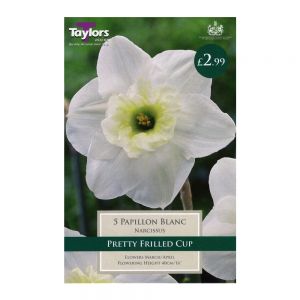Taylors Narcissi Papillon Blanc Bulbs (5 per Pack)