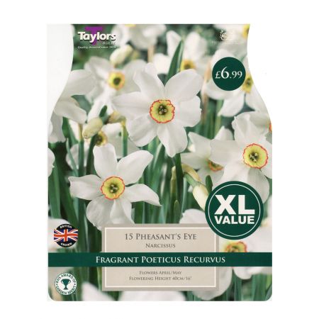 Taylors Narcissi Pheasant's Eye Bulbs (15 per Pack)