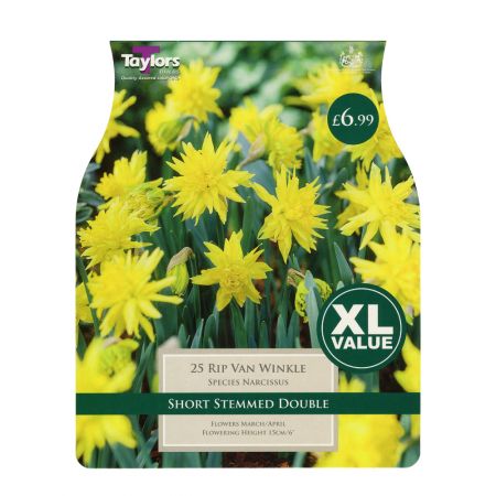 Taylors Narcissi Rip Van Winkle Bulbs (25 per Pack)