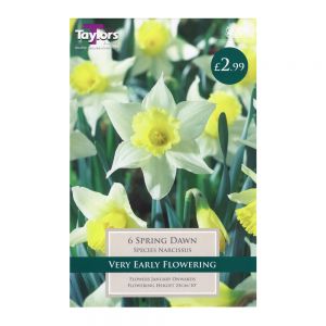 Taylors Narcissi Spring Dawn Bulbs (6 per Pack)