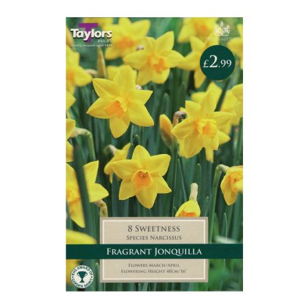 Taylors Narcissi Sweetness Bulbs (8 per Pack)