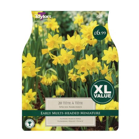 Taylors Narcissi Tête-à-tête Bulbs (20 per Pack)