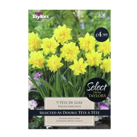 Taylors Narcissi Tete De Luxe Bulbs (Pack of 9)