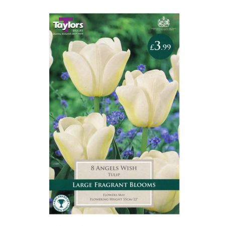 Taylors Tulip Angel's Wish Bulbs (8 per Pack)