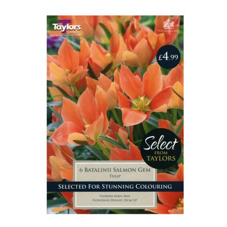 Taylors Tulip Batalini Salmon Gem Bulbs (Pack of 6)
