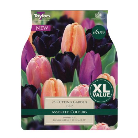 Taylors Tulip Cutting Garden Bulbs (25 per Pack)