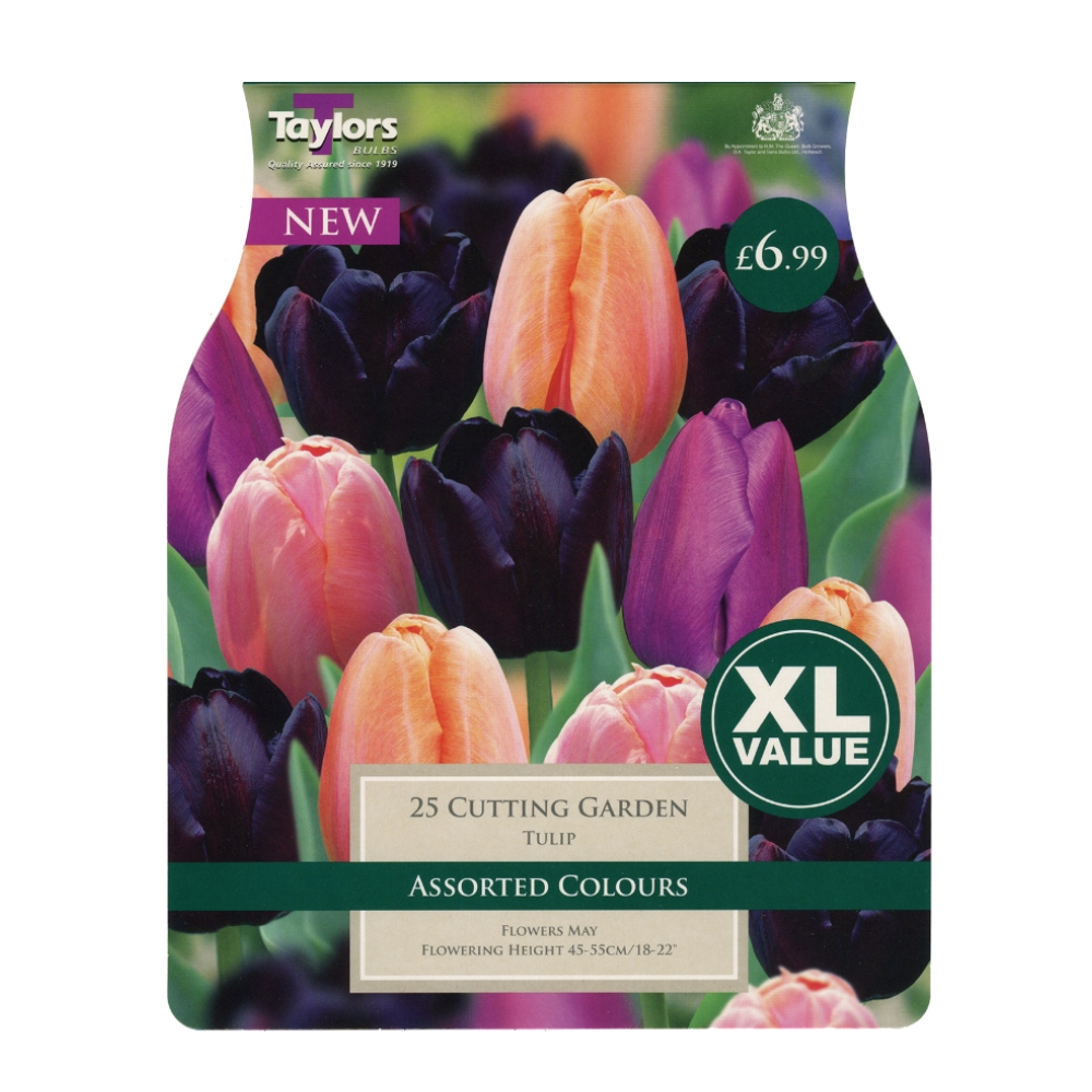 Taylors Tulip Cutting Garden Bulbs (25 per Pack) Beetham Nurseries
