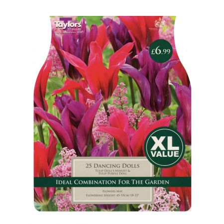 Taylors Tulip Dancing Dolls Bulbs (25 per Pack)