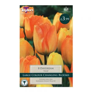 Taylors Tulip Daydream Bulbs (8 per Pack)