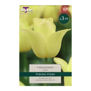Taylors Tulip Friendship Bulbs (9 per Pack)