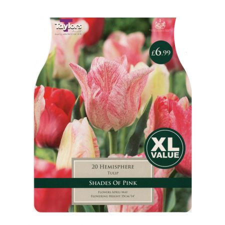 Taylors Tulip Hemisphere Bulbs (20 per Pack)
