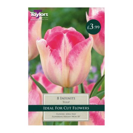 Taylors Tulip Infiniti Bulbs (8 per Pack)