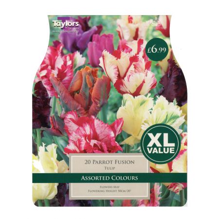 Taylors Tulip Parrot Fusion Bulbs (20 per Pack)