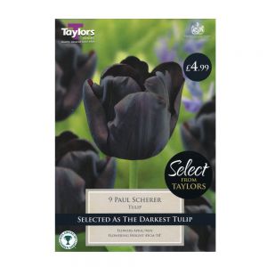 Taylors Tulip Paul Scherer Bulbs (Pack of 9)