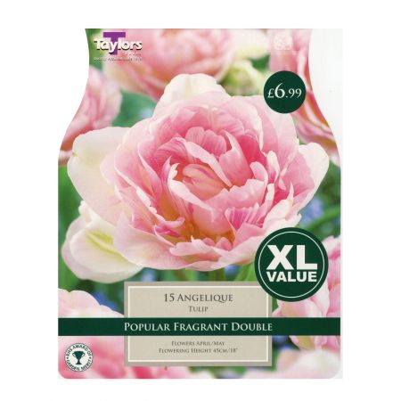 Taylors Tulip Peach Blossom Bulbs (18 per Pack)