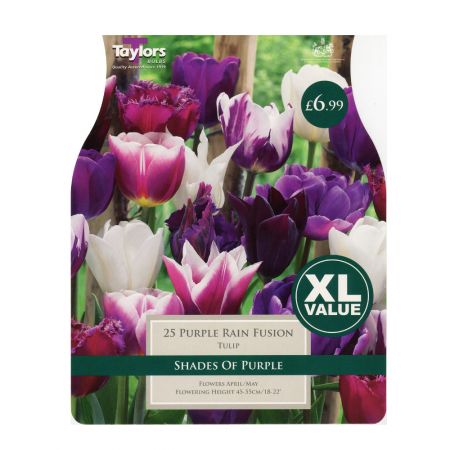 Taylors Tulip Purple Rain Fusion Bulbs (25 per Pack)