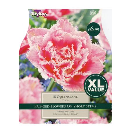 Taylors Tulip Queensland Bulbs (18 per Pack)