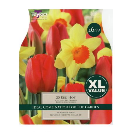 Taylors Tulip Red Hot Bulbs (20 per Pack)
