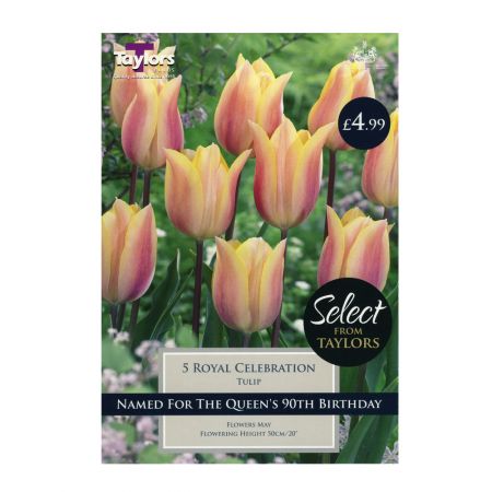 Taylors Tulip Royal Celebration Bulbs (Pack of 5)