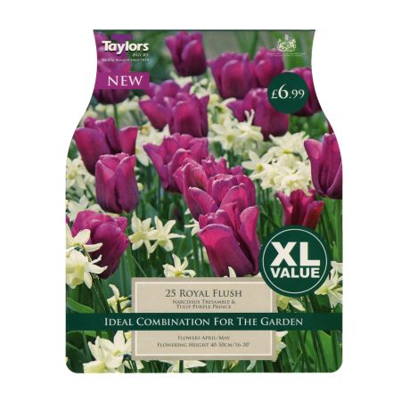 Taylors Tulip Royal Flush Bulbs (25 per Pack)