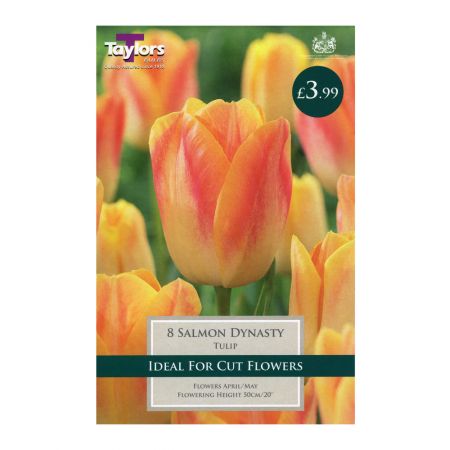 Taylors Tulip Salmon Dynasty Bulbs (8 per Pack)