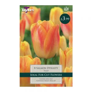 Taylors Tulip Salmon Dynasty Bulbs (8 per Pack)
