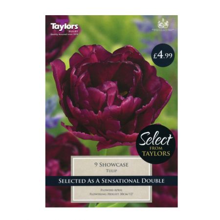Taylors Tulip Showcase Bulbs (Pack of 9)