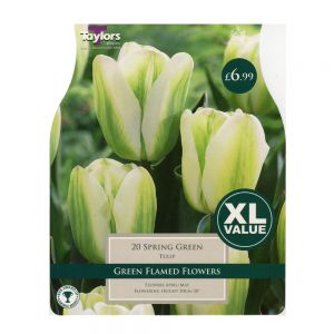 Taylors Tulip Spring Green Bulbs (20 per Pack)