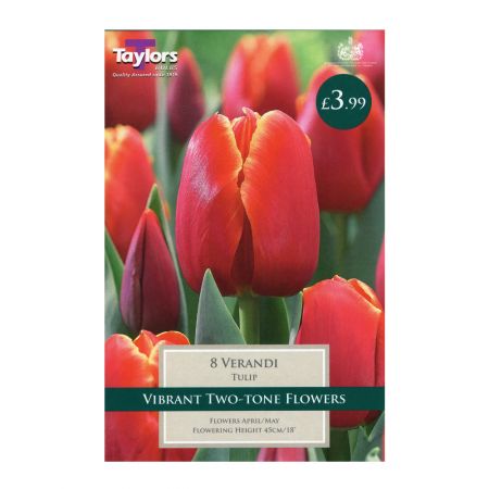 Taylors Tulip Verandi Bulbs (8 per Pack)