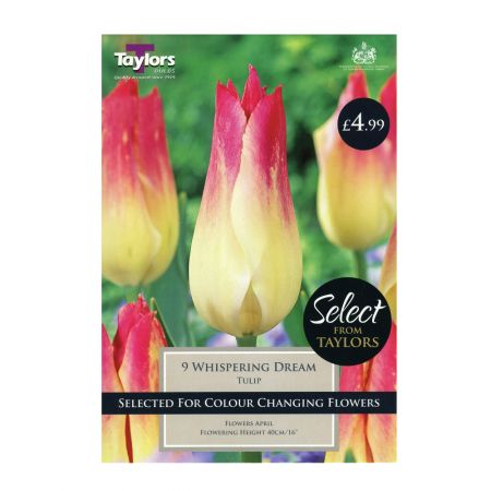 Taylors Tulip Whispering Dream Bulbs (Pack of 9)