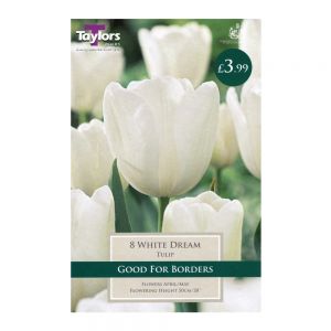 Taylors Tulip White Dream Bulbs (8 per Pack)