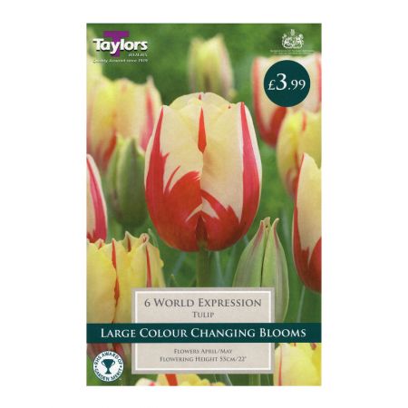 Taylors Tulip World Expression Bulbs (6 per Pack)