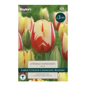 Taylors Tulip World Expression Bulbs (6 per Pack)