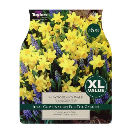 Taylors Woodland Walk Bulbs (40 per Pack)