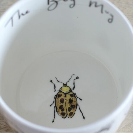 The Bug Mug by Anna Wright